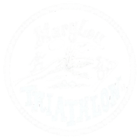 Triathlon Logo
